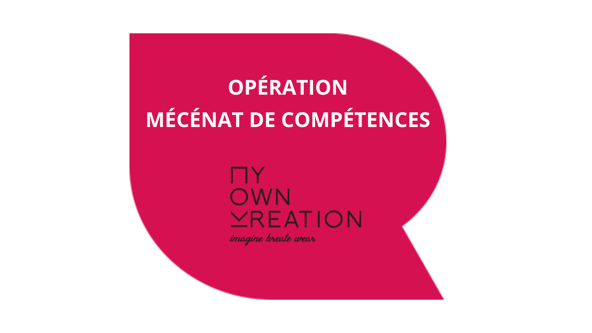 Mécénat de compétences